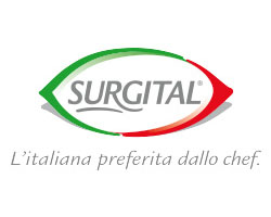 Logo Surgital